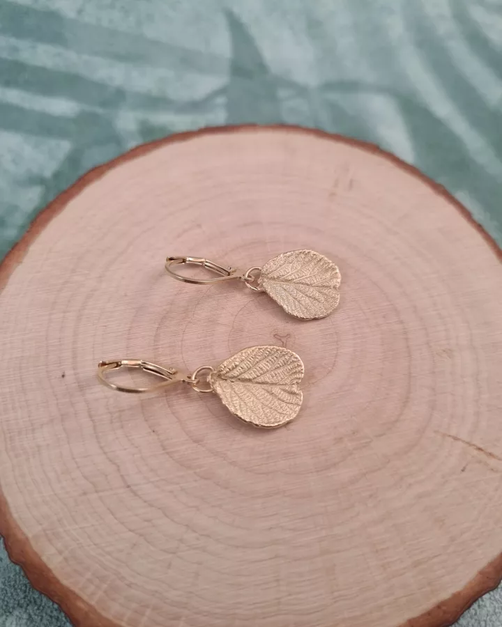 Boucles d'oreilles feuilles de kiwier