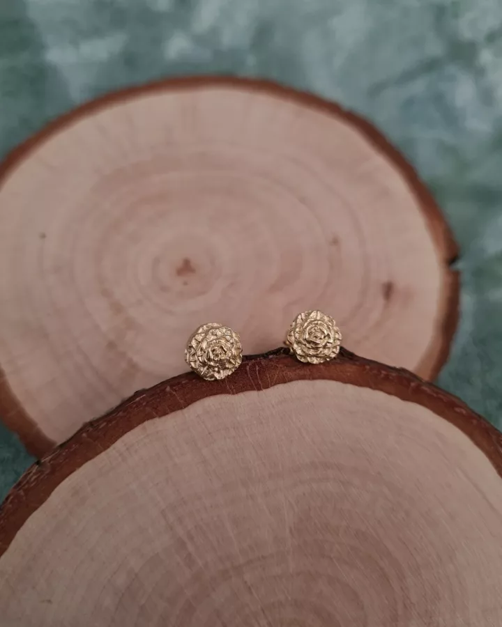 Clous d'oreilles pointes de pives
