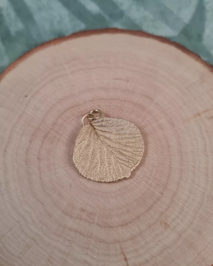 Pendentif feuille de kiwier