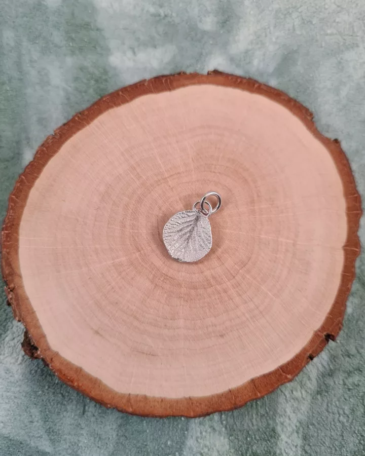 Pendentif feuille de kiwier