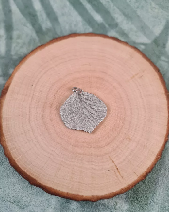 Pendentif feuille de kiwier